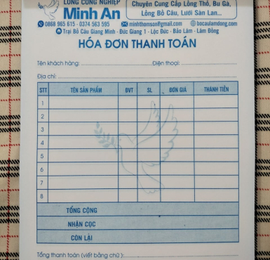 HÓA ĐƠN MÀU XANH 1